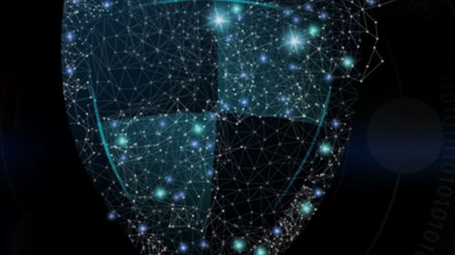 派拉軟件擬科創板上市 數字身份安全服務商的高瓴創投加持與數字文化創意軟件開發潛力